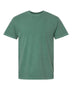 Comfort Colors 1717 Blank Adult T-shirt