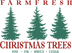 Christmas Design 135