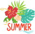 Summer Design 14
