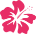 Summer Design60