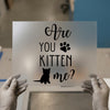 Are You Kitten Me? | DTF Transfer Ready to Press | Humorous Cat Heat Transfer