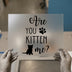 Are You Kitten Me? | DTF Transfer Ready to Press | Humorous Cat Heat Transfer