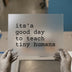 It's a Good Day to Teach Tiny Humans | DTF Transfer Ready to Press | Teacher Appreciation Heat Transfer