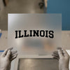 Illinois Arched Text | DTF Transfer Ready to Press | Collegiate Style Heat Transfer
