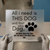 All I Need is This Dog | DTF Transfer Ready to Press | Pet Lover Heat Transfer