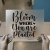 Bloom Where You Are Planted | DTF Transfer Ready to Press | Inspirational Heat Transfer