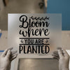 Bloom Where You Are Planted | DTF Transfer Ready to Press | Inspirational Heat Transfer