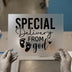 Special Delivery From God | DTF Transfer Ready to Press | Baby Reveal Heat Transfer