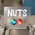 Nuts Christmas Ornaments | DTF Transfer Ready to Press | Humorous Holiday Heat Transfer