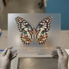 Butterfly Jeremiah 29:11 Bible Verse | DTF Transfer Ready to Press | Faith-Inspired Heat Transfer