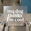 My Dog Thinks I'm Cool | DTF Transfer Ready to Press | Pet Lover Heat Transfer