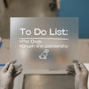 Feminist Dog To Do List | DTF Transfer Ready to Press | Bold Statement Heat Transfer