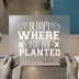 Bloom Where You Are Planted | DTF Transfer Ready to Press | Inspirational Heat Transfer