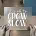 It's Ok To Grow Slow | DTF Transfer Ready to Press | Motivational Heat Transfer
