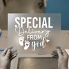 Special Delivery From God | DTF Transfer Ready to Press | Baby Reveal Heat Transfer