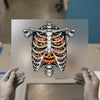 Skeleton Pumpkin Ribcage | DTF Transfer Ready to Press | Halloween Heat Transfer