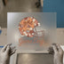 Floral Football Helmet & Game Day | DTF Transfer Ready to Press | Retro Style Heat Transfer